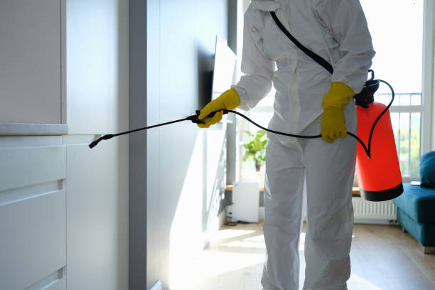 Best Mold Prevention Services  in De Graff, OH